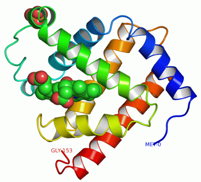 Image Asym./Biol. Unit - manually