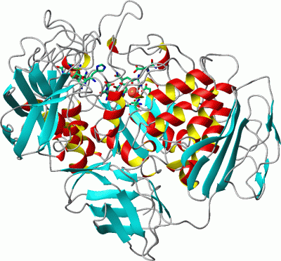 Image Asym./Biol. Unit - manually