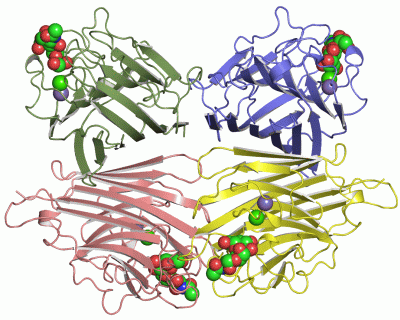 Image Asym./Biol. Unit - manually