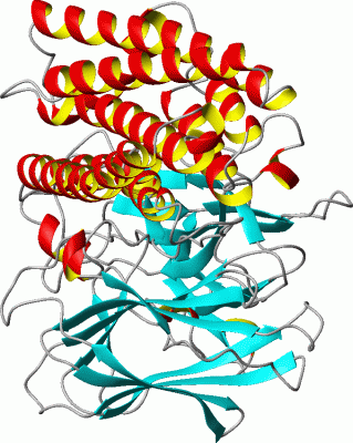 Image Asym./Biol. Unit - manually