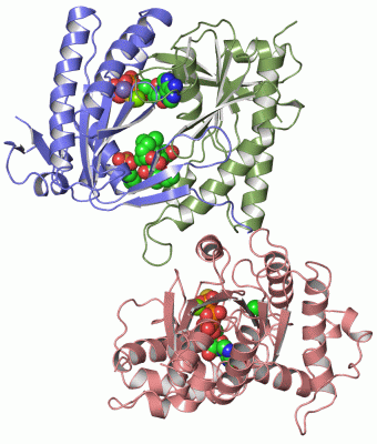 Image Asym./Biol. Unit - manually