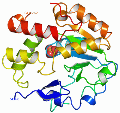 Image Asym./Biol. Unit - manually