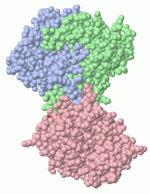 Image Asym./Biol. Unit - manually