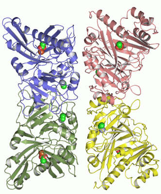 Image Asym./Biol. Unit - manually