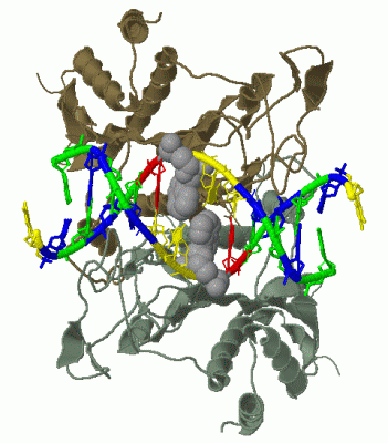 Image Biol.Unit 1 - manually