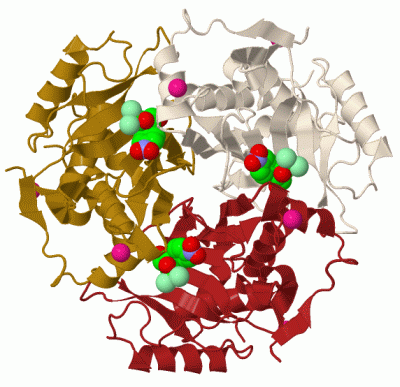 Image Biol.Unit 1 - manually