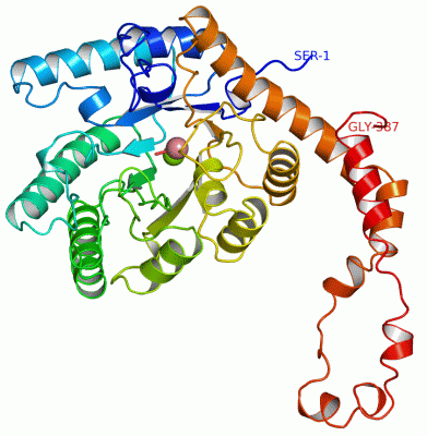 Image Asym.Unit - manually