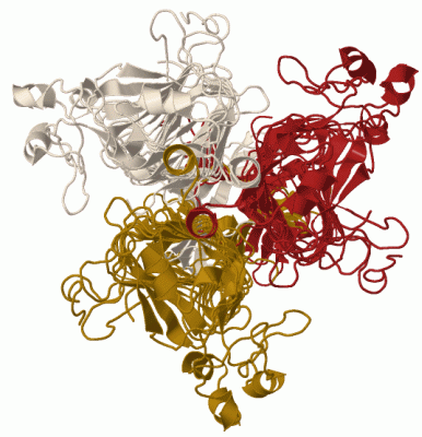 Image Biol.Unit 2 - manually