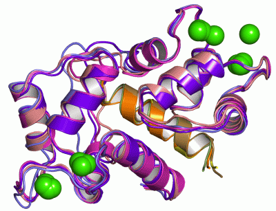 Image Asym./Biol. Unit - manually