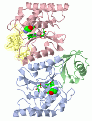 Image Asym./Biol. Unit - manually