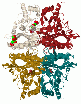 Image Biol.Unit 1 - manually