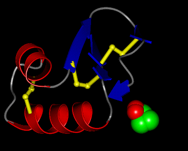Image Asym./Biol. Unit - manually