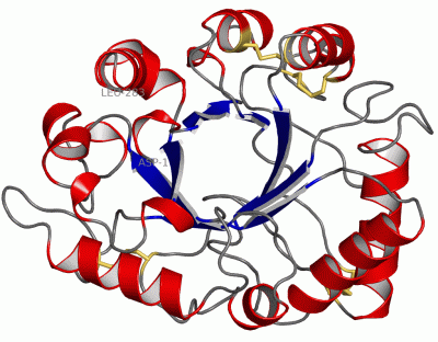 Image Asym./Biol. Unit - manually