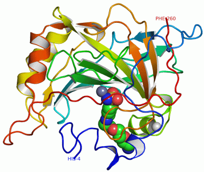 Image Asym./Biol. Unit - manually