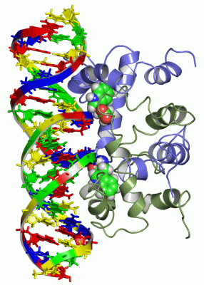 Image NMR Structure - manually