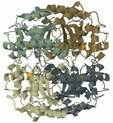 Image Biol.Unit 1 - manually