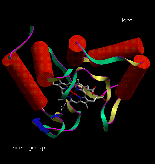 Image Asym./Biol. Unit - manually