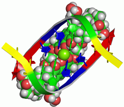 Image Biol.Unit 1 - manually