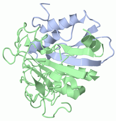 Image Asym./Biol. Unit - manually