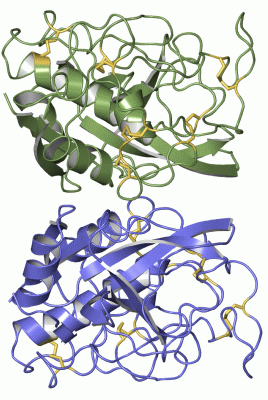 Image Asym./Biol. Unit - manually
