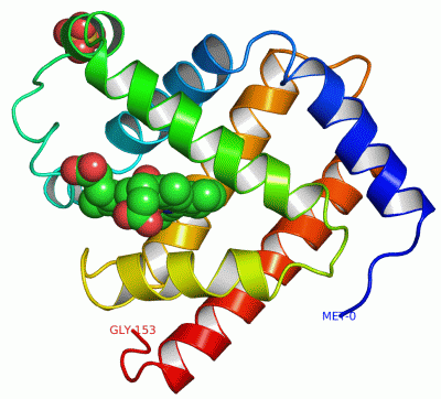 Image Asym./Biol. Unit - manually