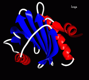 Image Asym./Biol. Unit - manually