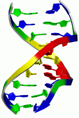 Image NMR Structure - manually