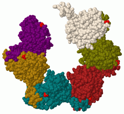 Image Biol.Unit 1 - manually
