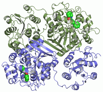 Image Asym./Biol. Unit - manually