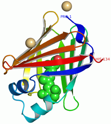 Image Asym./Biol. Unit - manually