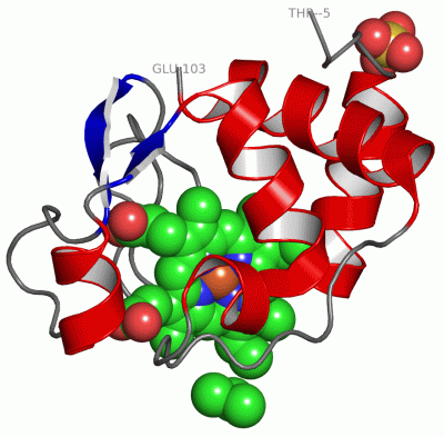 Image Asym./Biol. Unit - manually