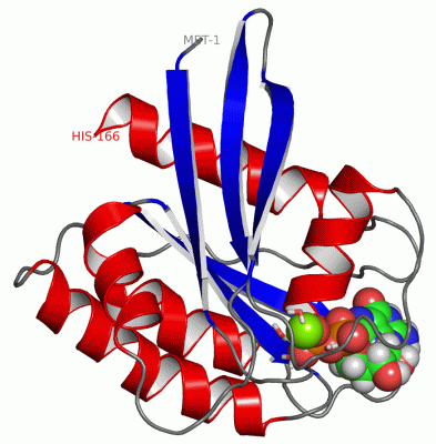 Image NMR Structure - manually