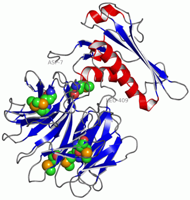 Image Asym./Biol. Unit - manually