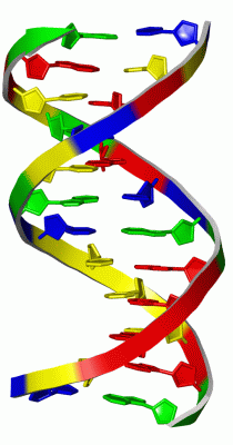 Image NMR Structure - manually