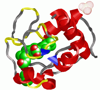 Image Asym./Biol. Unit - manually