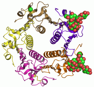 Image Asym./Biol. Unit - manually