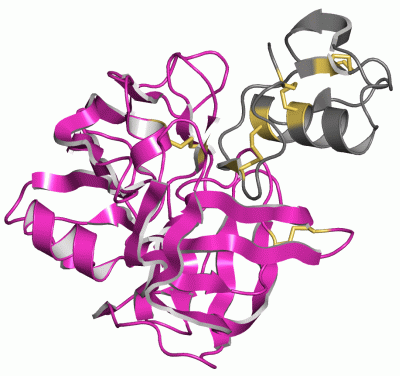 Image Asym./Biol. Unit - manually