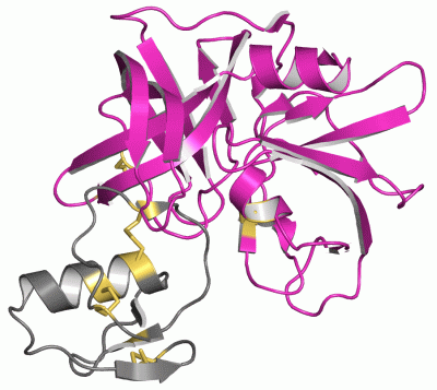 Image Asym./Biol. Unit - manually