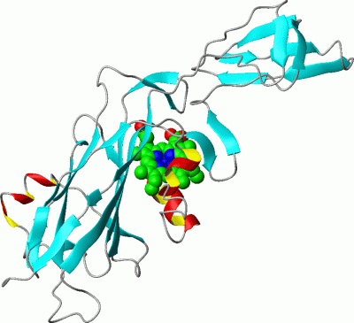 Image Asym./Biol. Unit - manually