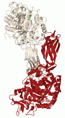 Image Biol.Unit 1 - manually