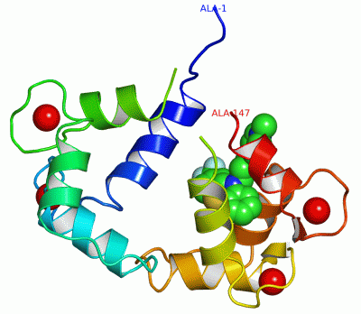 Image Asym./Biol. Unit - manually