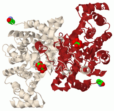 Image Biol.Unit 1 - manually