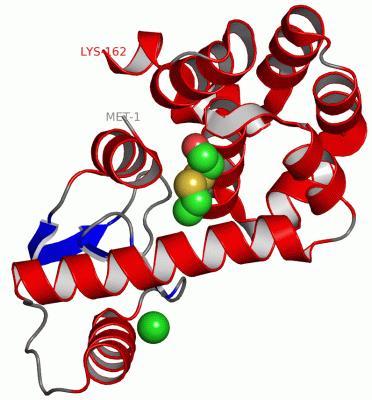 Image Asym./Biol. Unit - manually