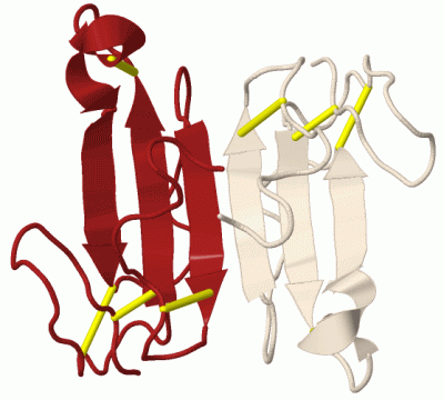 Image Biol.Unit 1 - manually