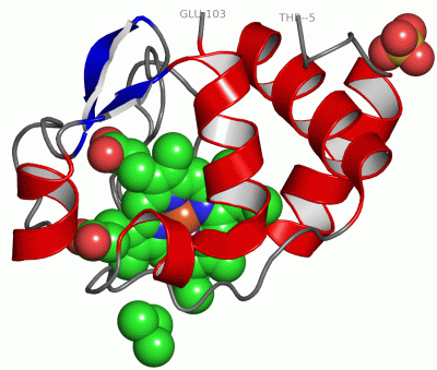 Image Asym./Biol. Unit - manually