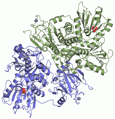 Image Asym./Biol. Unit - manually