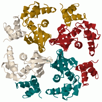 Image Biol.Unit 1 - manually