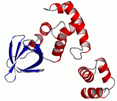 Image Asym.Unit - manually