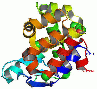 Image Asym./Biol. Unit - manually