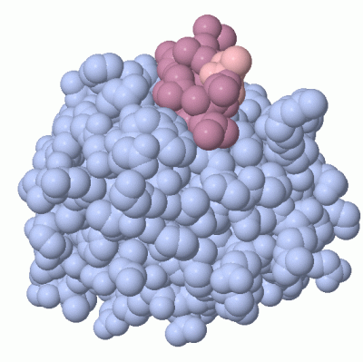 Image Asym./Biol. Unit - manually